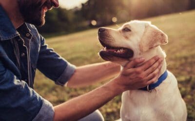 4 Marketing Strategies Pet Care Companies Must Implement to See Growth