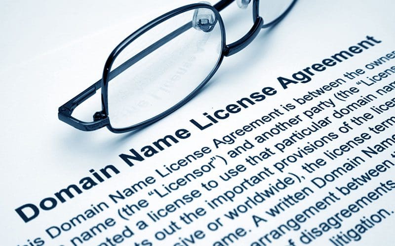 Domain Name License Agreement