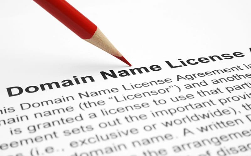 Domain Name License