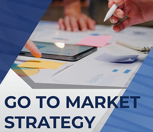 Go-to-Market-Strategy StealthEnomics Sample Go To Market Strategy